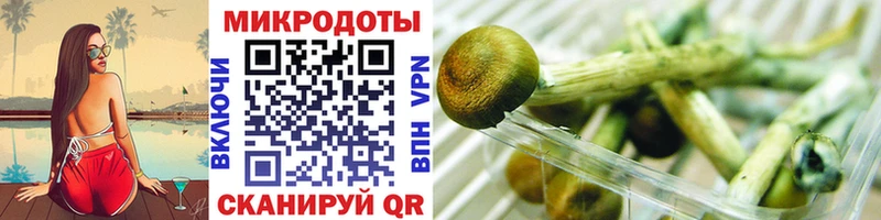 Галлюциногенные грибы ЛСД Нелидово
